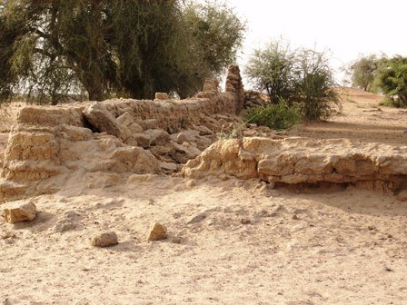 varemed Mali lahistel